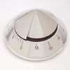 Pro Timer  - 1 unit